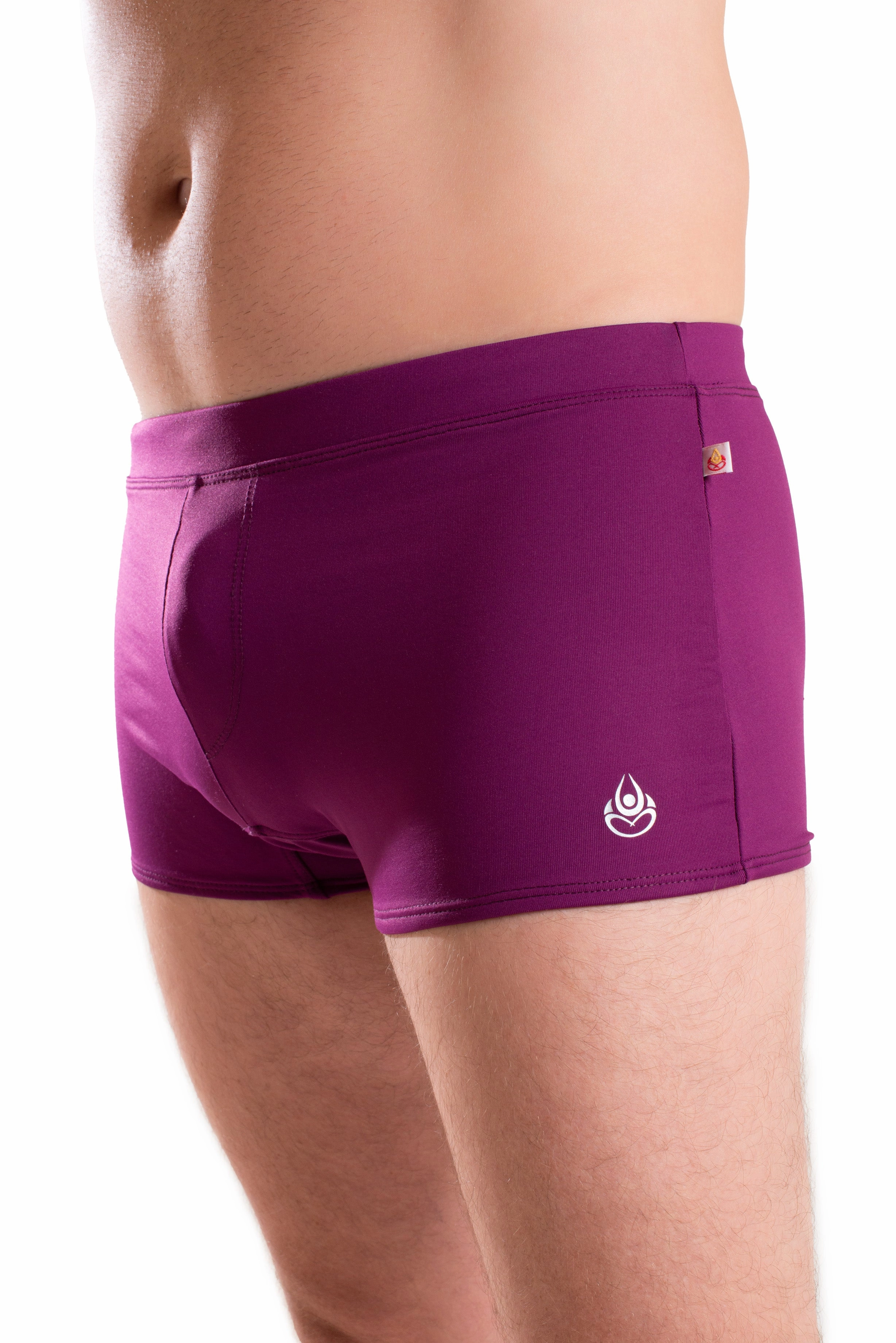 Brazilian Style Trunks, Burgundy, Cool Form Light
