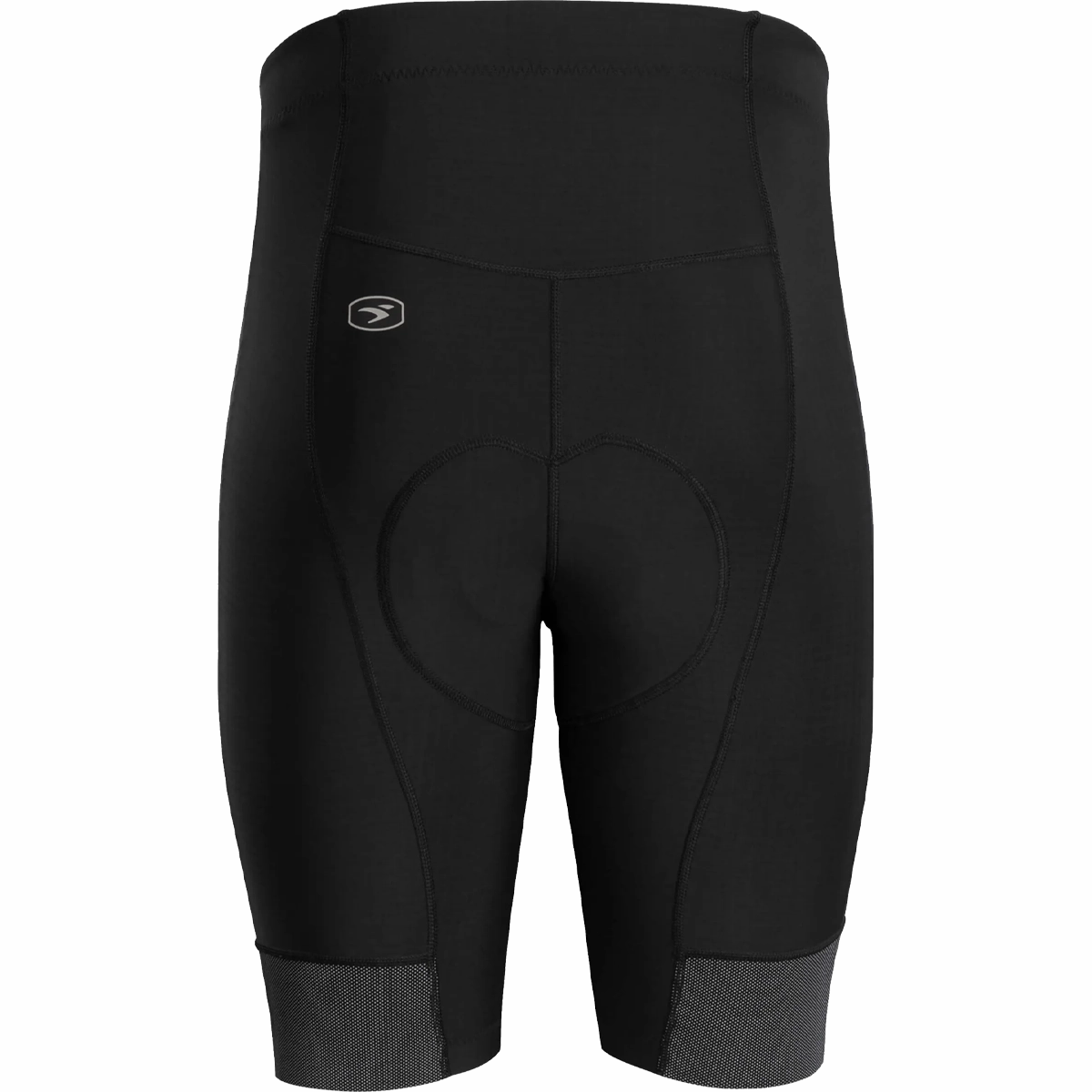 Men's Evolution Zap Shorts