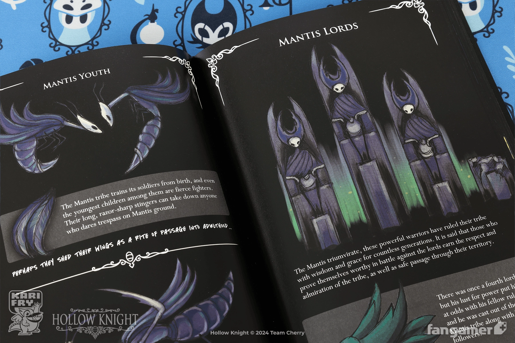 Wanderer's Journal
