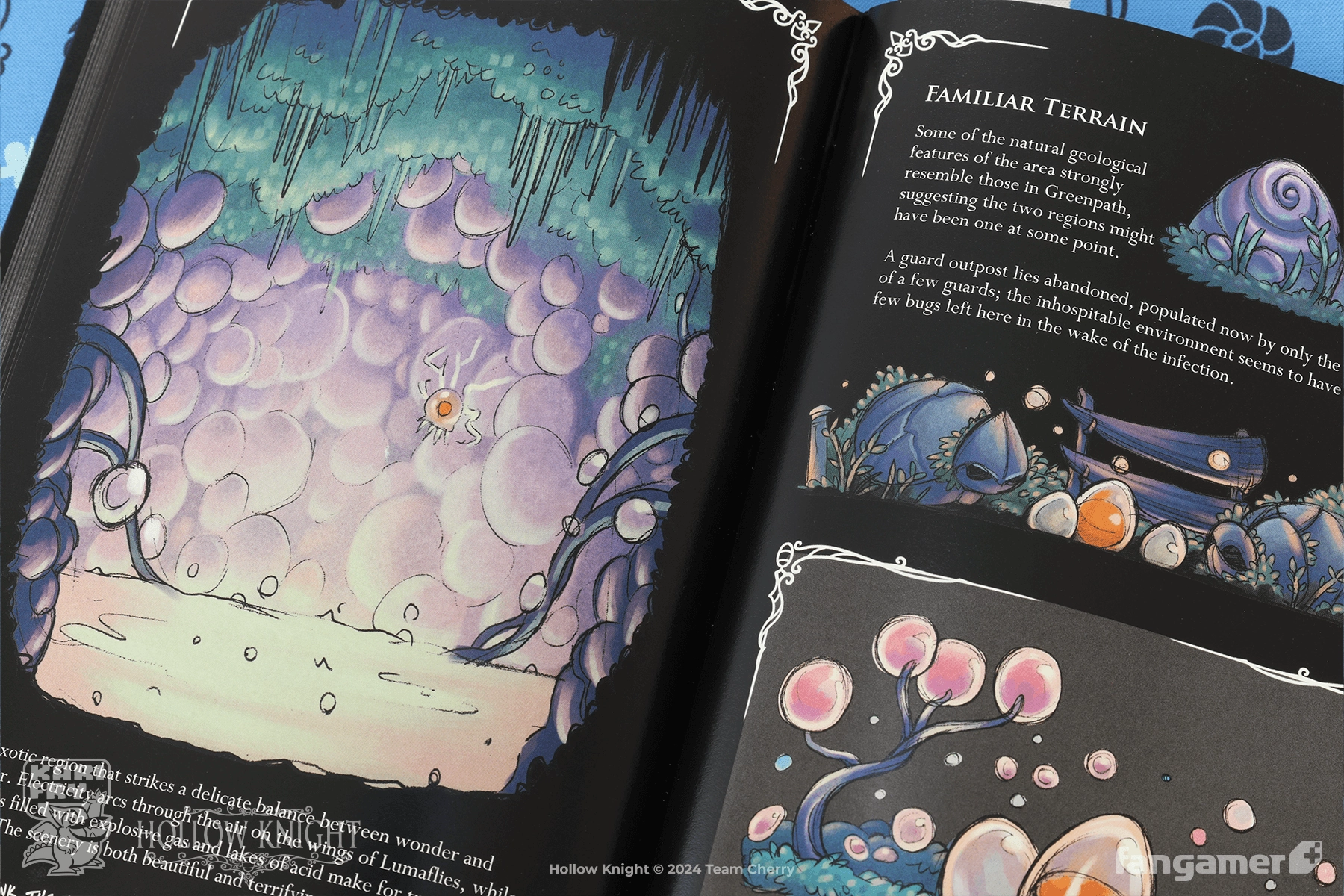 Wanderer's Journal